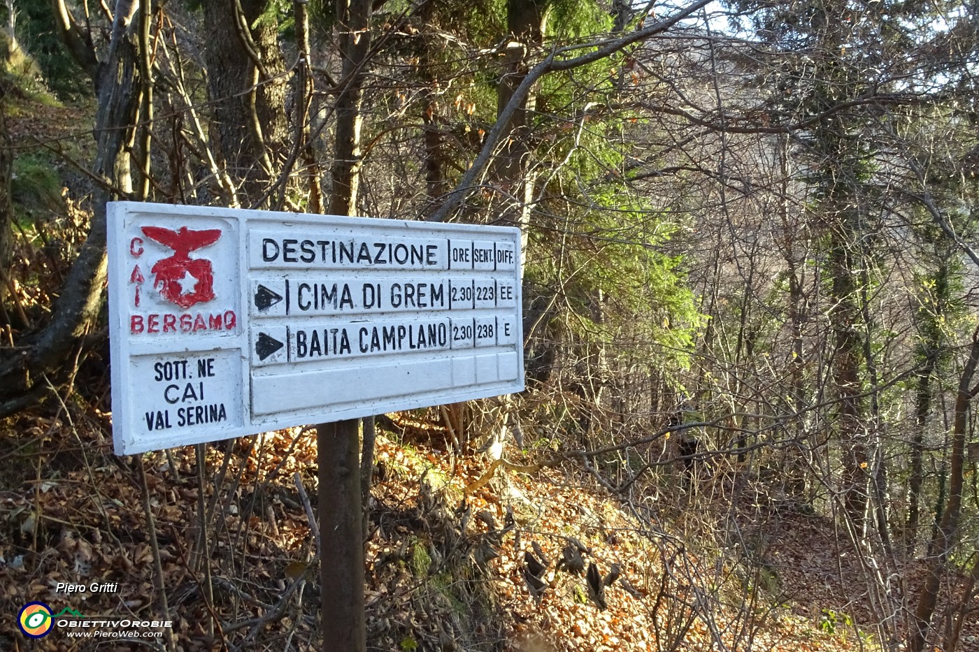 11 Inizio sent. 223 per Cima Grem.JPG